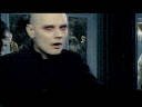 Billy - Ava Adore