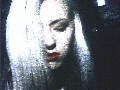 D'Arcy - Siva