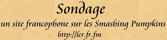 Sondage